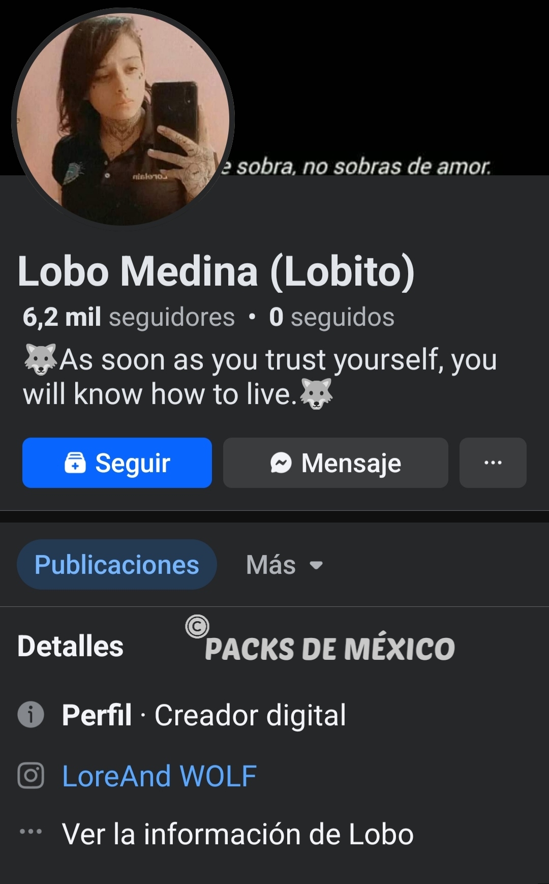 https://www.packsdemexico.mx/wp-content/uploads/2024/11/Lobo-Medina-[00-99].jpg